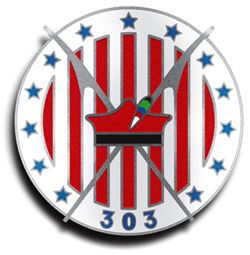 303__squadron_badge