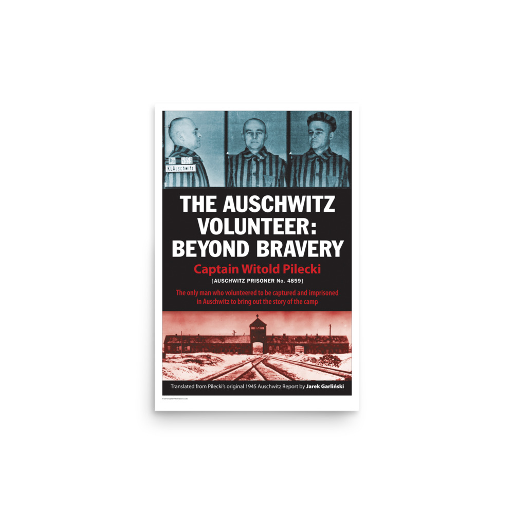 Poster - The Auschwitz Volunteer cover art