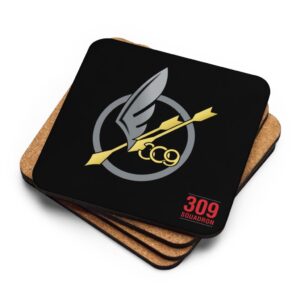 Coaster - 309 Squadron