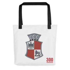 Tote Bag, 15" x 15" - 300 Squadron