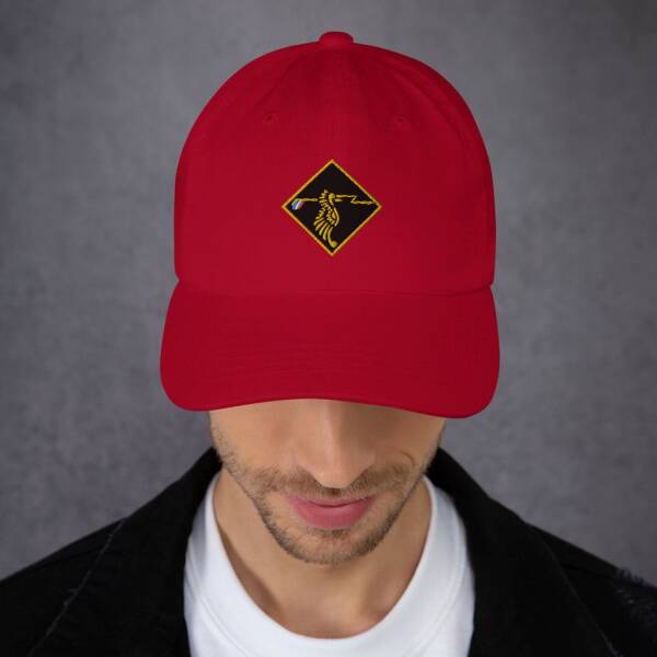 Baseball Cap - 308 Squadron - Image 17