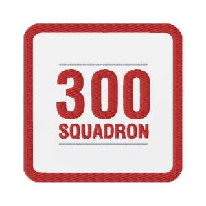 Patch - 300 Squadron - Square Number