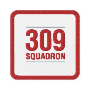 Patch - 309 Squadron - Square Number