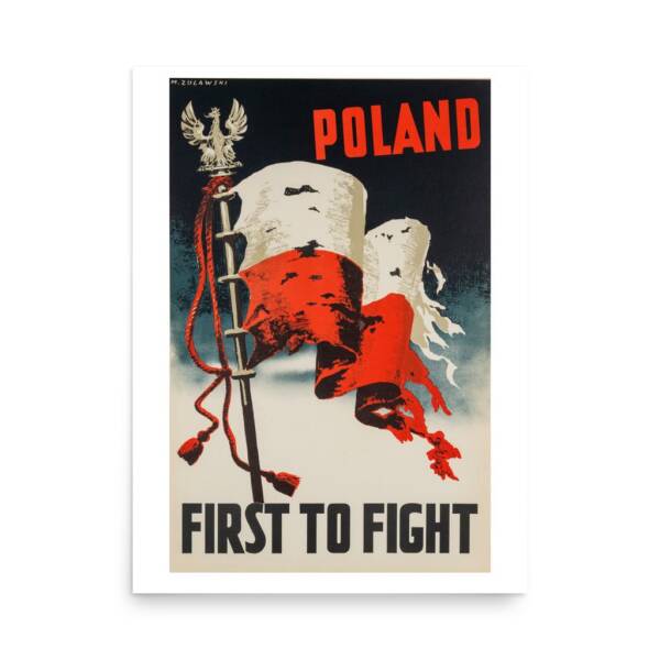 Poster - First to Fight - Image 3
