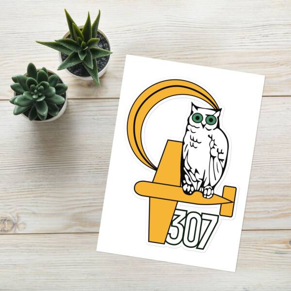 Stickers - 307 Squadron - Image 2