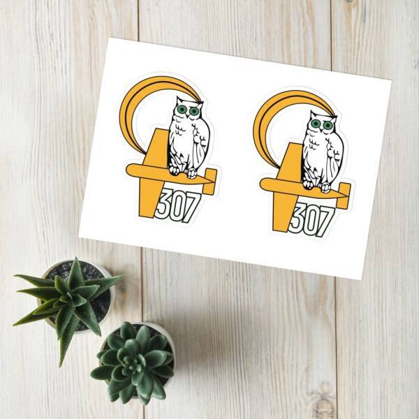 Stickers - 307 Squadron - Image 4