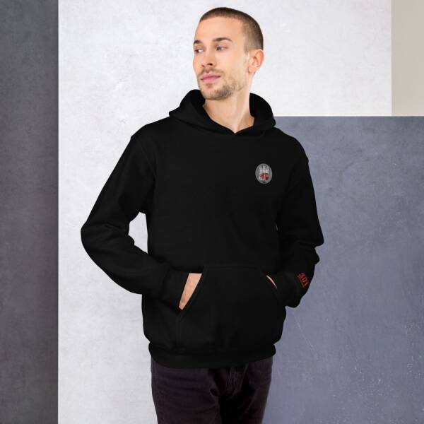 Pullover Hoodie - 301 Squadron - Image 4