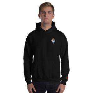 Pullover Hoodie - 302 Squadron