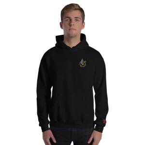 Pullover Hoodie - 309 Squadron