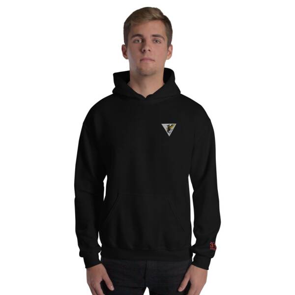 Pullover Hoodie - 316 Squadron